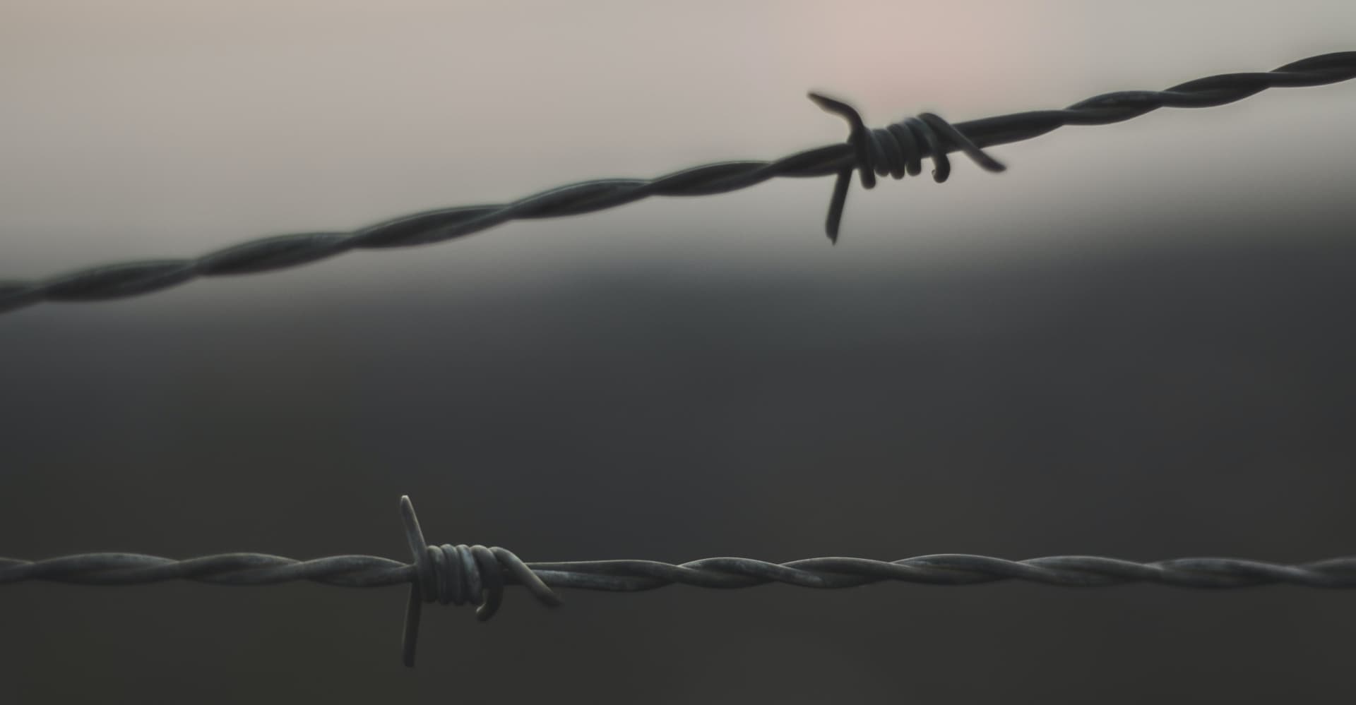 bannerImage alt